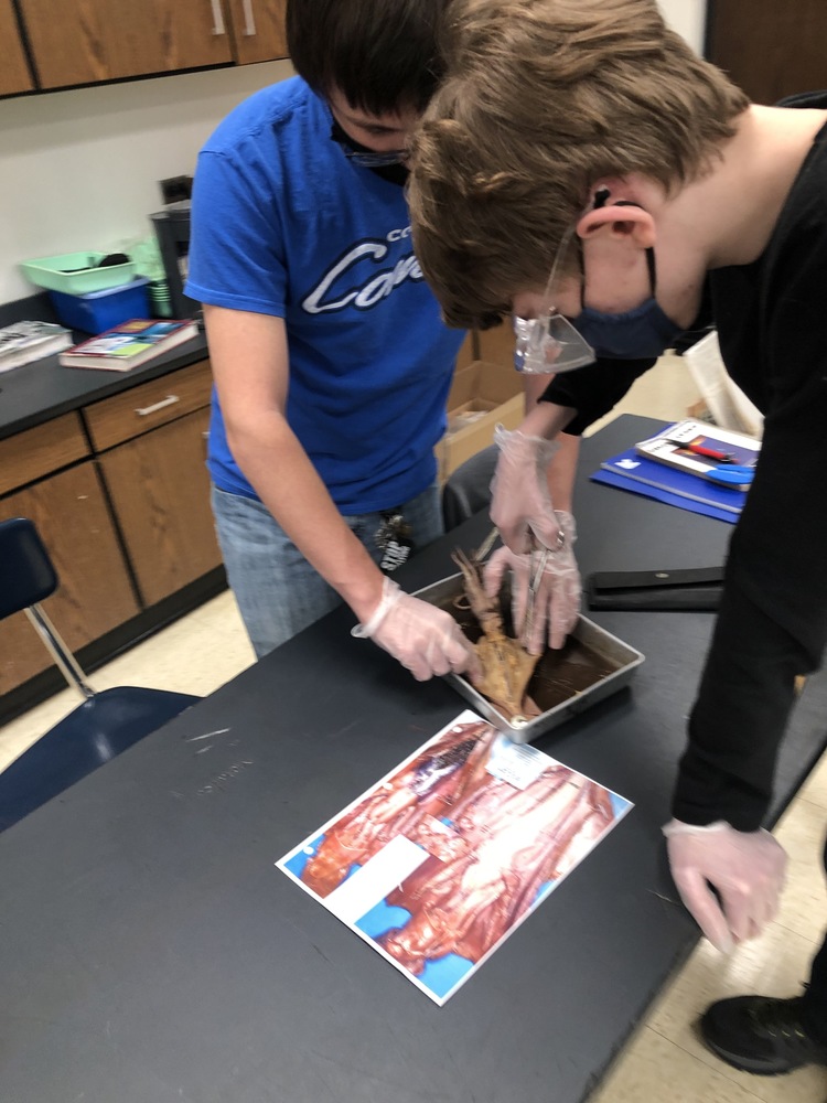 Zoology In-Person