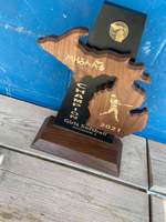 Softball Comets Win 6th Straight District Title