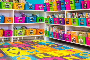 Brownlee Receives $1400 Classroom Library Grant!