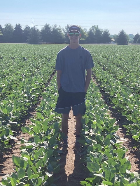 Dalton Rinehart checking our soybean plot for the Crops Management Contest