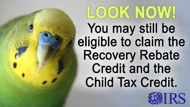 irs tax credit